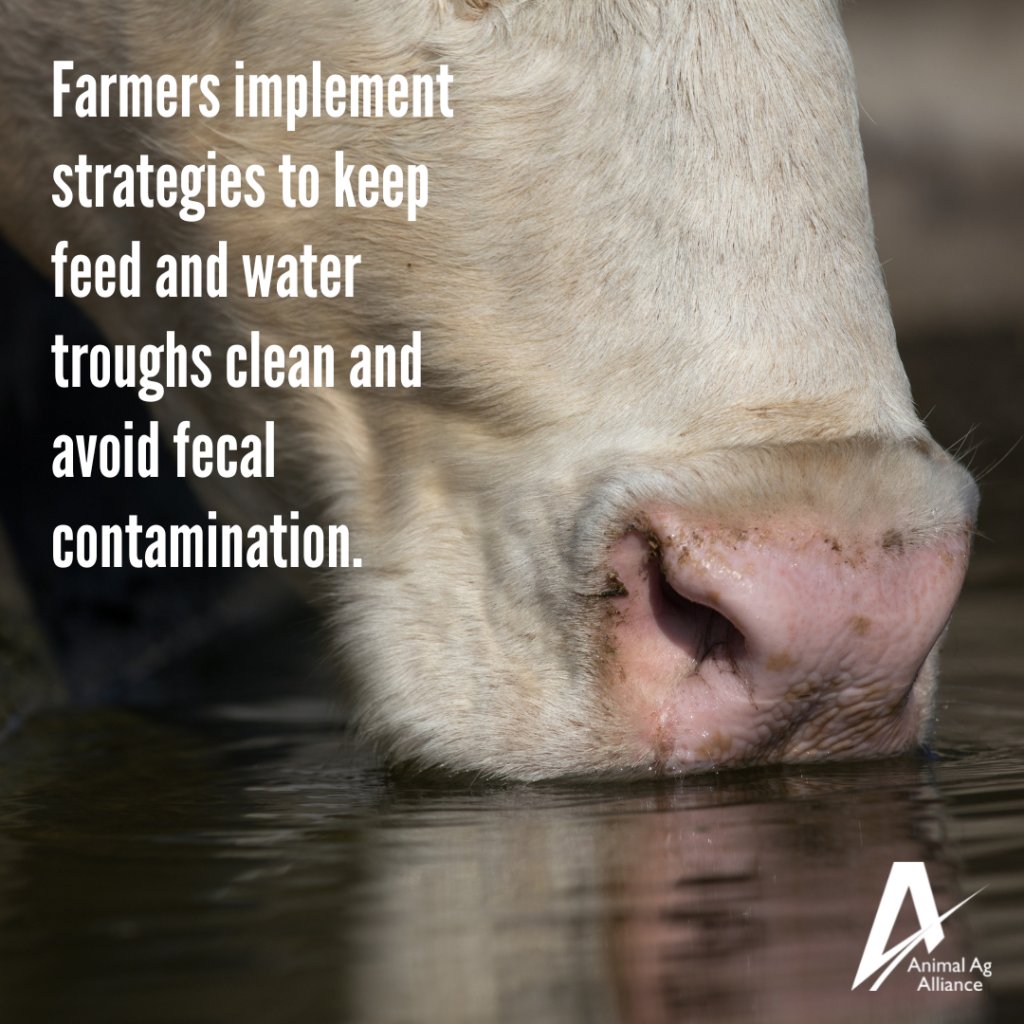 Water quality is crucial to animal health, which is why water sources are routinely evaluated and cleaned. 💧 bit.ly/3wfunbn