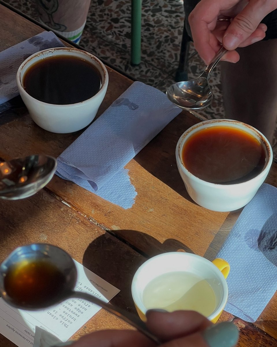 We’re all about helping your team feel confident behind the bar💪
The Ozone Academy is exclusive training for our wholesale partners — from espresso basics to latte art and machine care. Complete 6 modules, pass the test, and earn the Ultimate Coffee Host pin🏅