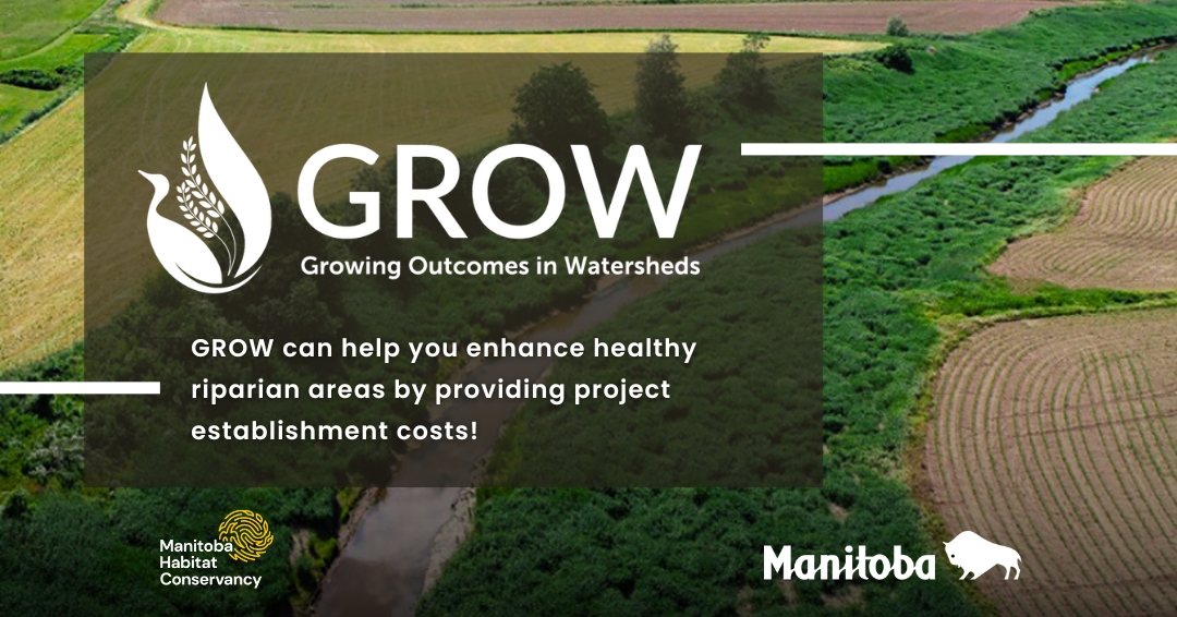 Healthy riparian areas are essential for preventing soil erosion and improving water quality. GROW can help you enhance these vital zones by providing project establishment costs! 

Get in touch with your local watershed district to learn more - manitobawatersheds.org/grow/#applyGROW

#GROW