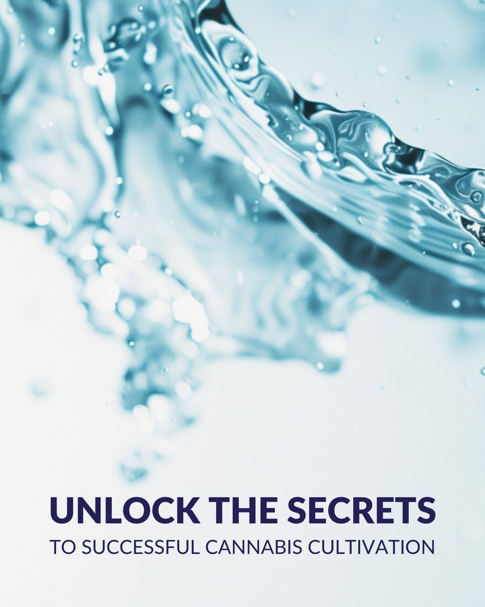 The Plant-Prod 7-11-27 hydroveg water-soluble fertilizer, enriched with 3.75% magnesium, stands out as a premium choice for hydroponic systems.

Click the link to learn more!
plantprod.com/product/plant-…