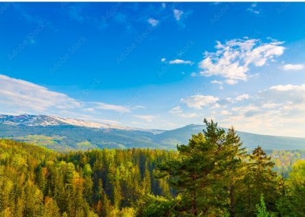 Ps 21:1 – O LORD, in your strength the king rejoices, and in your salvation how greatly he exults!  

King Jesus rejoices in his Father’s strength as he now wields his Father’s power for his people’s good.   

#ChristsPsalmsourPsalms #KingJesus