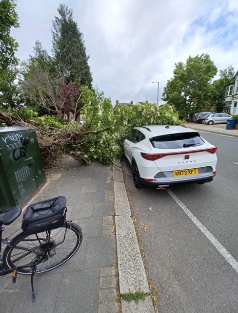 Pcso 7687NW from North Harrow SNT came across this collapsed tree on Pinner road today. Thankfully no pedestrians hurt, Harrow council have been informed. Special branch were considered but not needed on this occasion