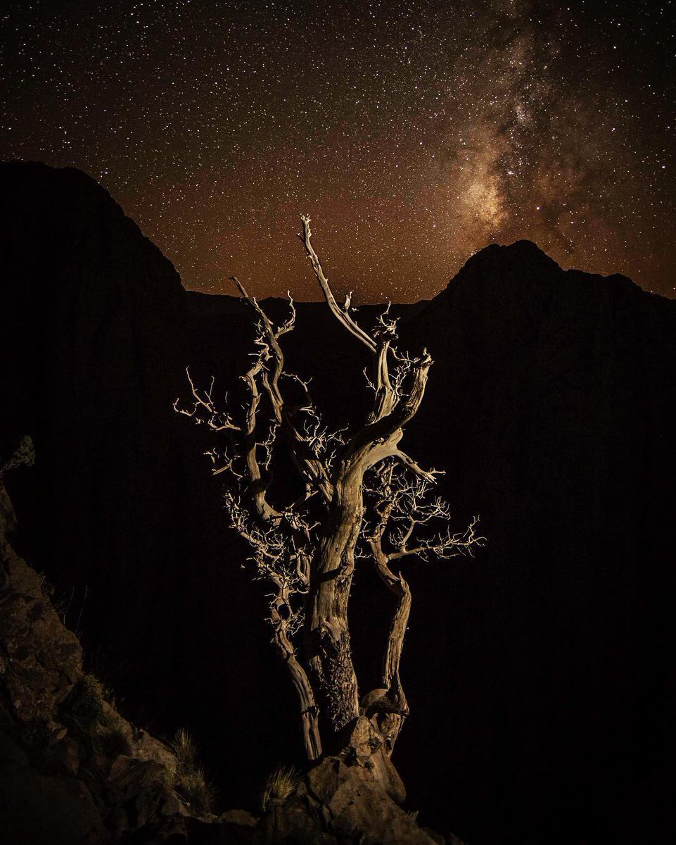 Jimmy Chin tweet media