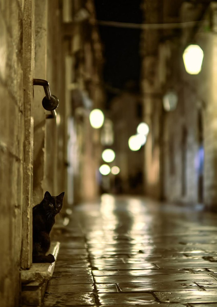 Sixth (@sixthblade43) on Twitter photo 