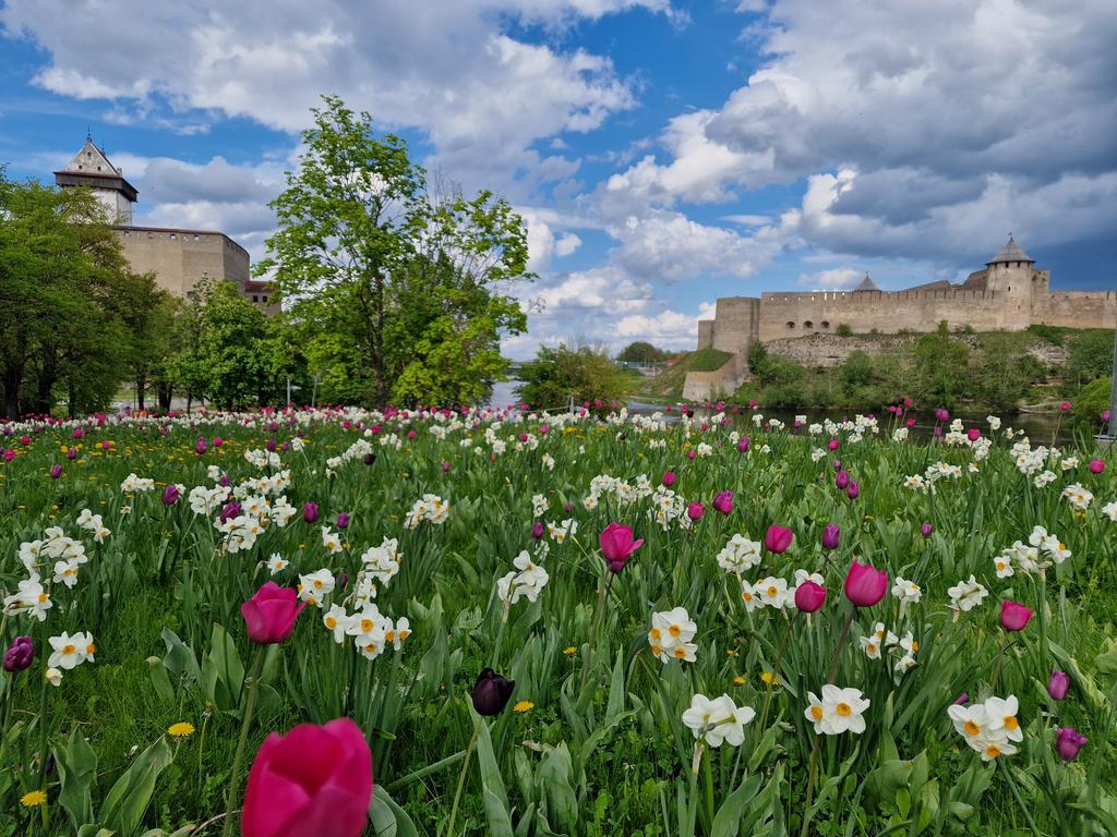 KarmenJoller's tweet image. Today’s cabinet meeting was held in Narva – Estonia’s beautiful border city. We visited Narva Museum, a messenger to Russia. Remember the May 9 banners calling Putin a war criminal? Director Maria Smorzhevskihh-Smirnova earned the European of the Year title for this bold act. In…