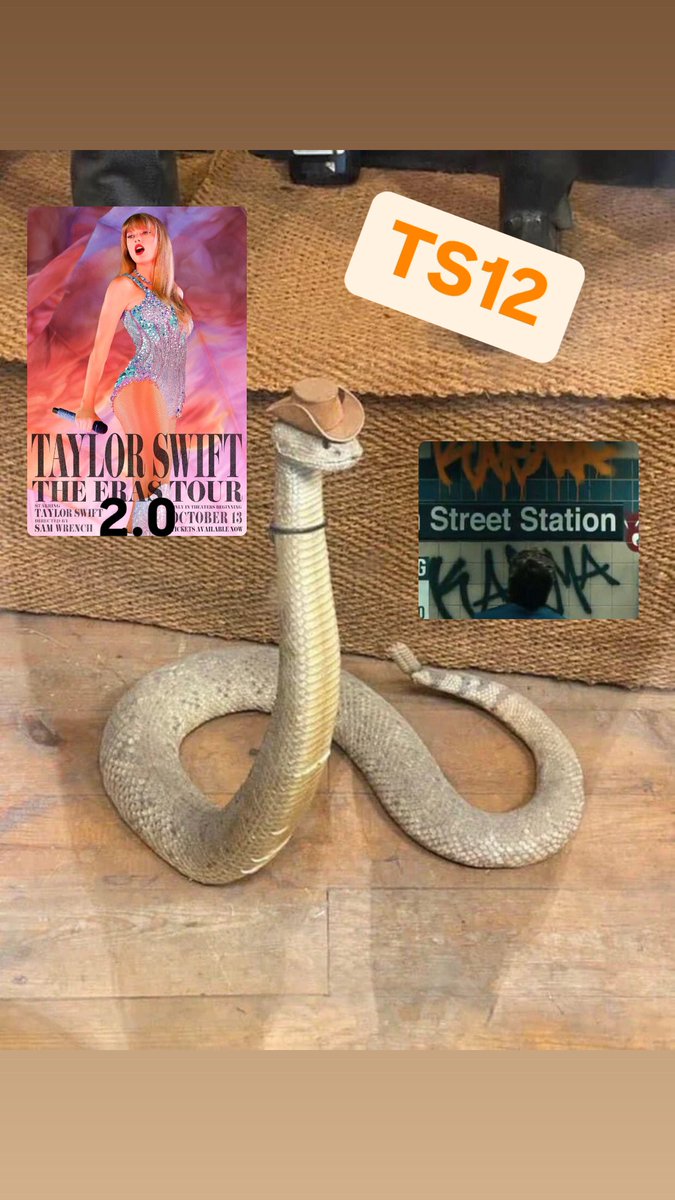 swiftarmy1989's tweet photo. The whole fandom in one picture https://t.co/D5f0kj1fjQ
