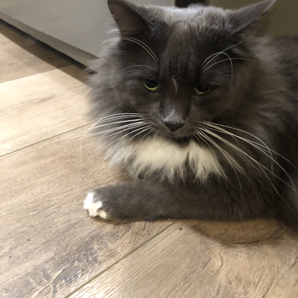 TFW you show up at the DMV for your 9am appointment, only to be told your appointment is at 9:30, and they can’t check you in for 30 minutes. 

How do I explain this to Ted? We have a 8:30 brushing appointment that I skipped. #TaxTwitter