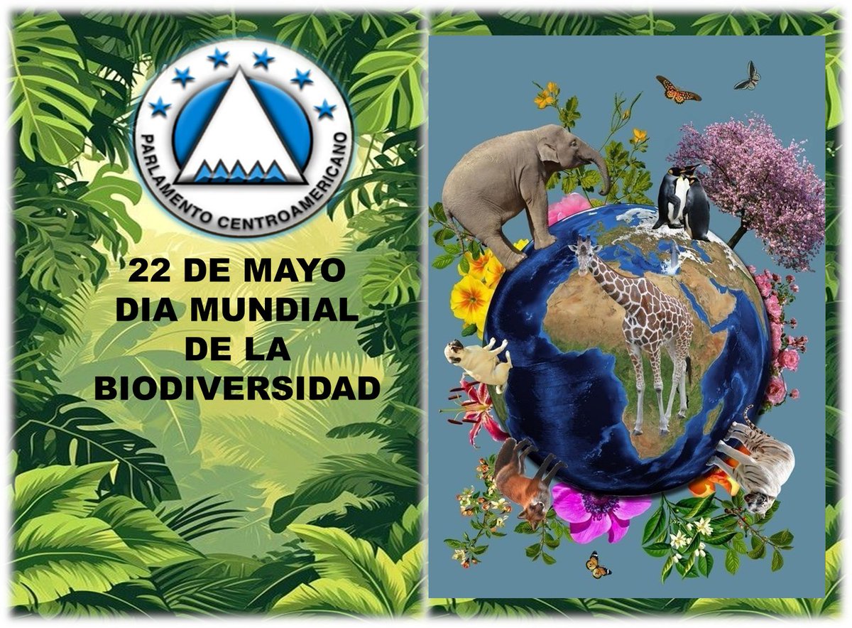 PARLACENHONDURAS (@parlacenhn2021) on Twitter photo 