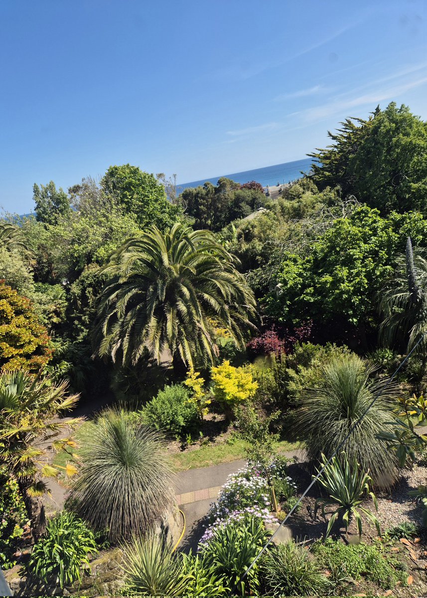 morrablibrary's tweet image. The view from the library's window is extra sumptuous today!

#ViewFromAWindow #LoveYourLibrary #LibraryViews #LovePenzance #SunnyDay #SeaView