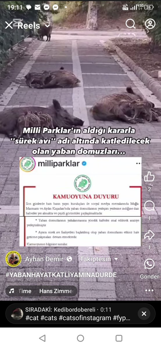 Öldürmeye son derece alışkın katillerden beklenecek olan şey de budur...