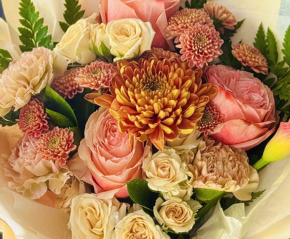 qasida2002's tweet image. گفته بودم؟
بهار، فصل نبود!
یک لحظه بود
یک درنگ
در میانه برفهای سبلان
یا در اوج شرجی آبادان
کافی بود تُ بخندی
که تقویم
خالی از فصل و ماه شود
و فقط یک روز شود
همچون لحظهی آغاز هستی….♥️
#محسن_جعفری