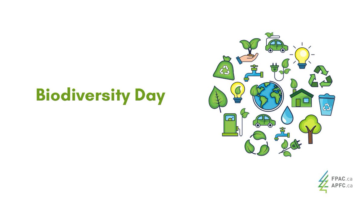 FPAC_APFC's tweet image. Today is International Day for Biodiversity – a time to recognize the incredible variety of life that sustains our planet. Biodiversity encompasses every living organism, from trees to birds, insects to animals and the relationships that bind them together. These connections form…
