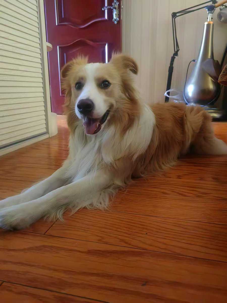 水水獭侠 (@cbqyj) on Twitter photo 