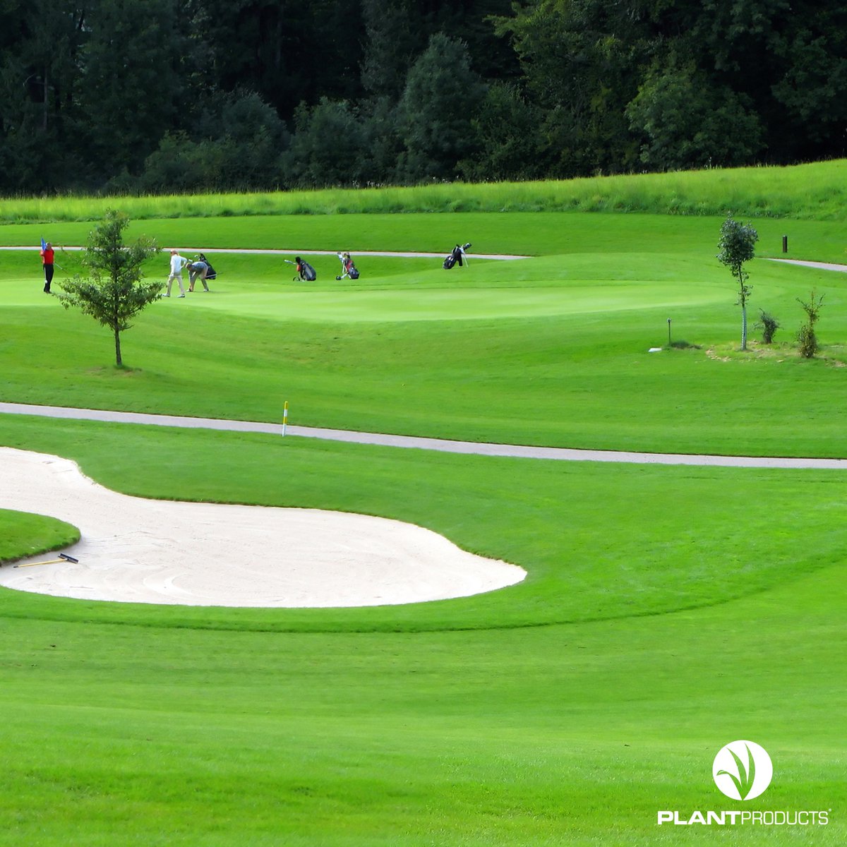 The team <a href="/TurfPlantProd/">Plant Products Turf</a> can offer a full complement of fertilizers to meet your turfs requirements. Whatever your turf nutrition goals, <a href="/TurfPlantProd/">Plant Products Turf</a> has you covered. Contact your rep today to learn more.