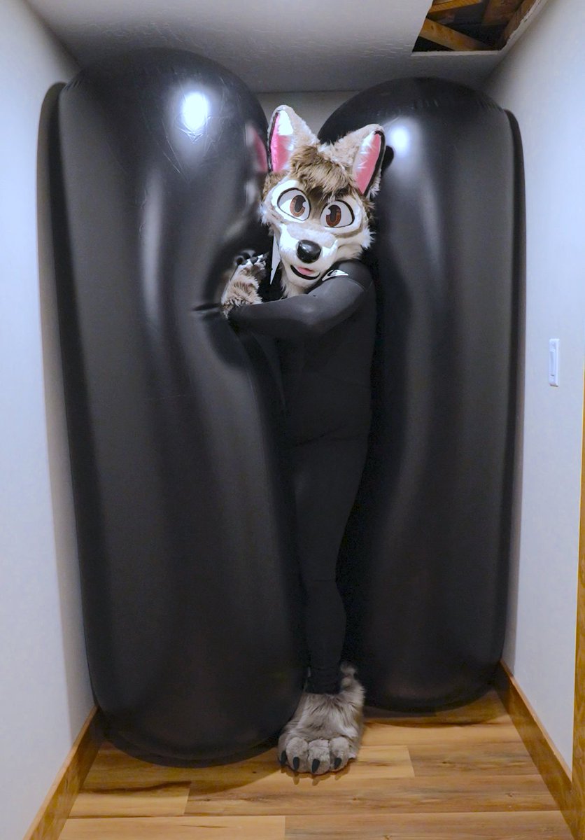 NullieTimber's tweet image. I bought two polymurr blimps just for making a bondage suit but I decided to used them just to squeeze in the hallway.

Polymurr blimps from @CandyCoatedPVC
Still waiting for the ring from @PhenodToy