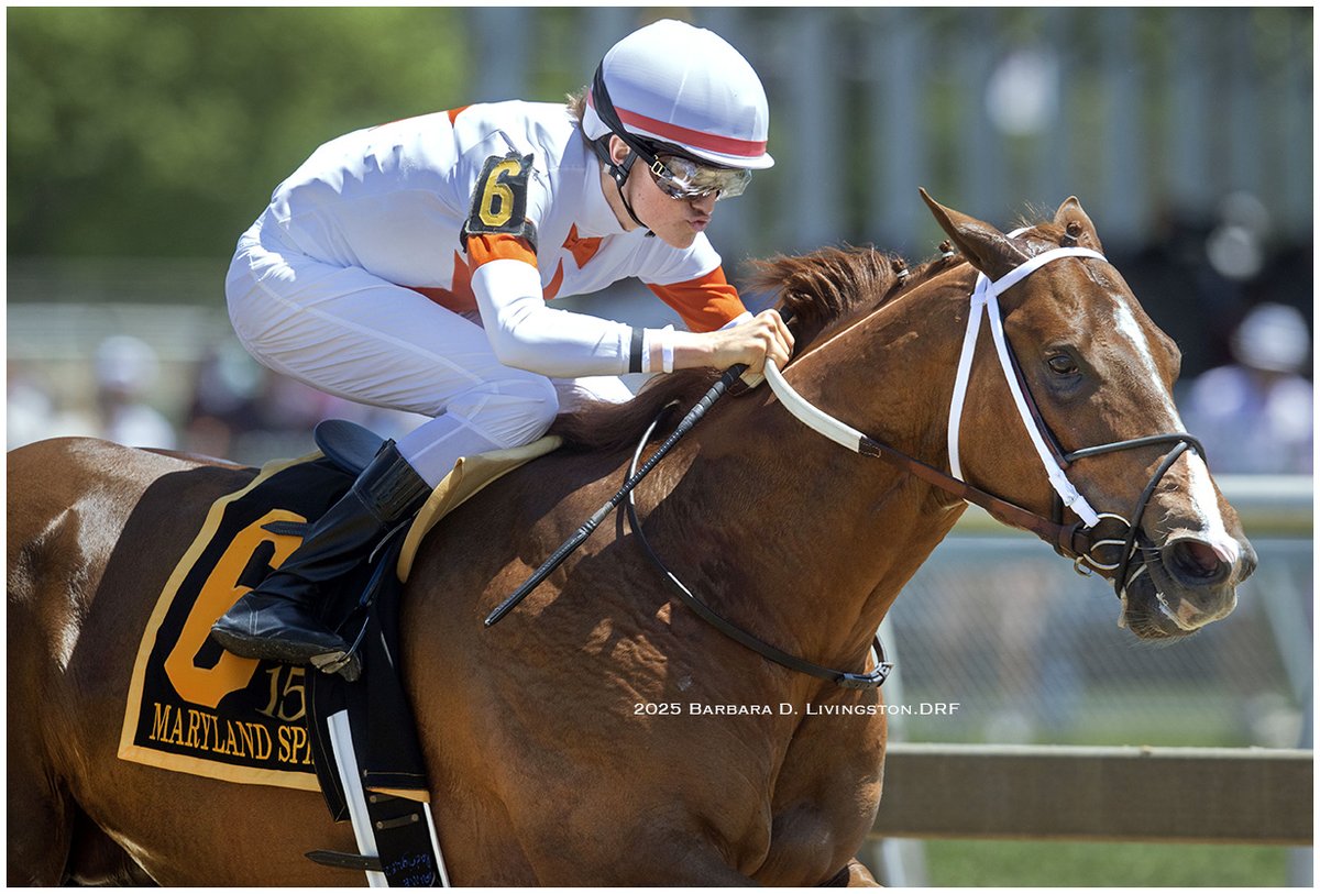 So cool to see Erik Asmussen and BOOTH win the G3 Maryland Sprint S. Preakness day!

Erik earned the 2024 Eclipse Award for apprentice jockey, and this was Erik's third graded stakes win, all aboard BOOTH in 2025.

BOOTH, 4-year-old Mitole colt, is trained by Steve Asmussen.