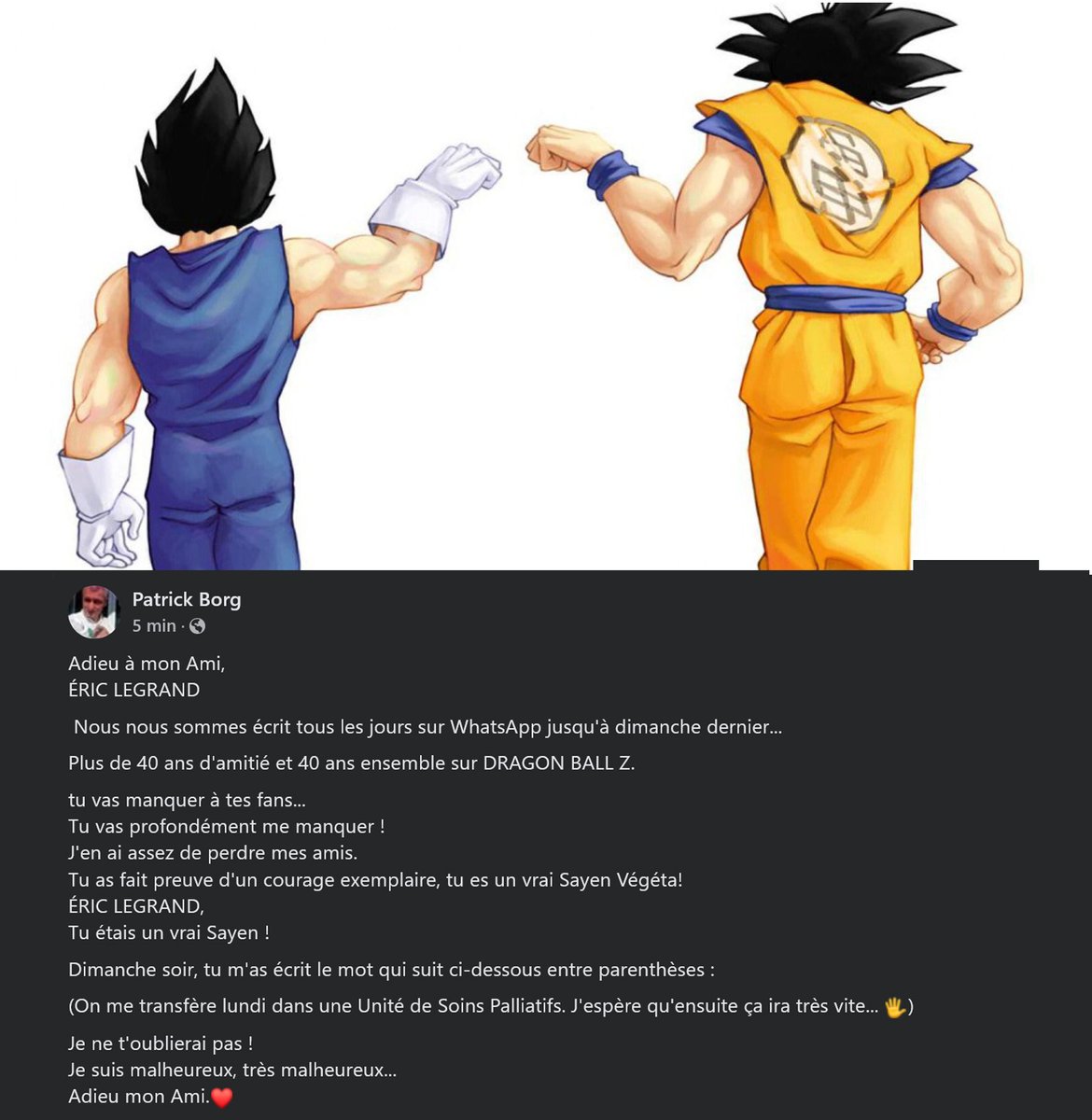 🕊️ Un message d'adieu de Patrick Borg (Goku) à Eric Legrand (Vegeta) 😢