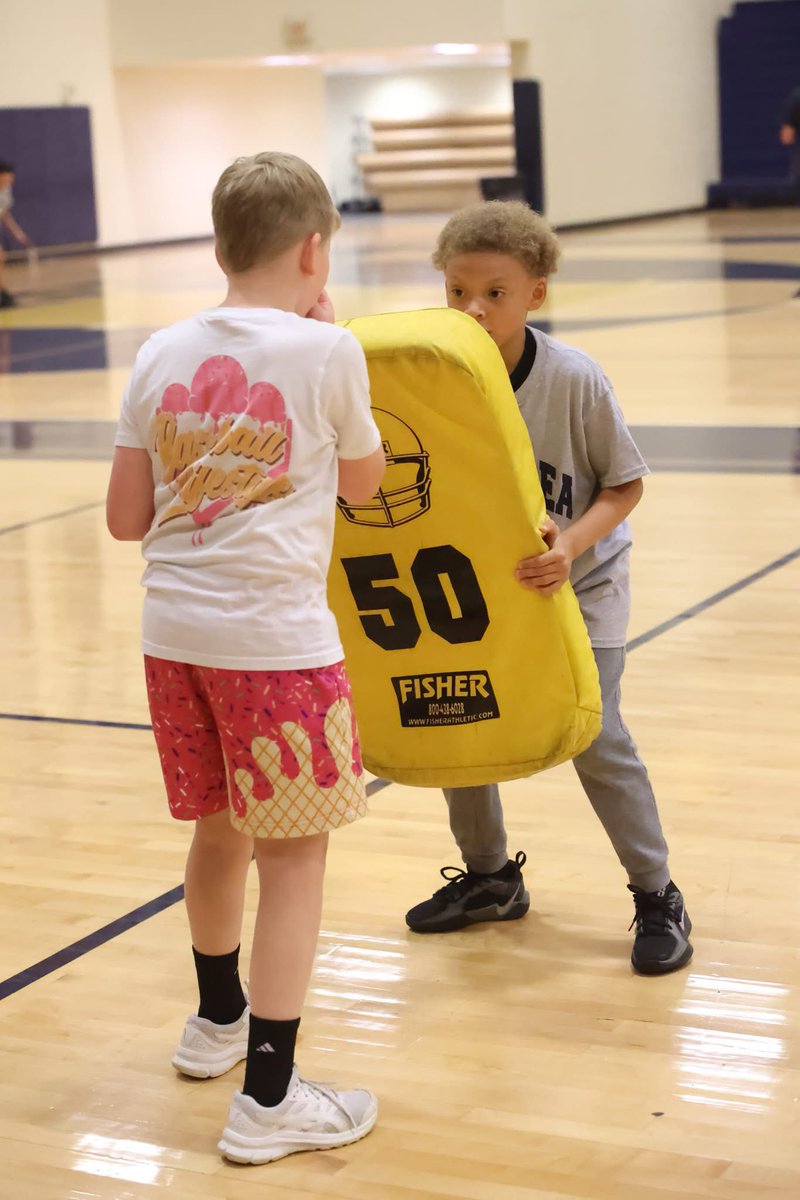 Kiski Area Football tweet media