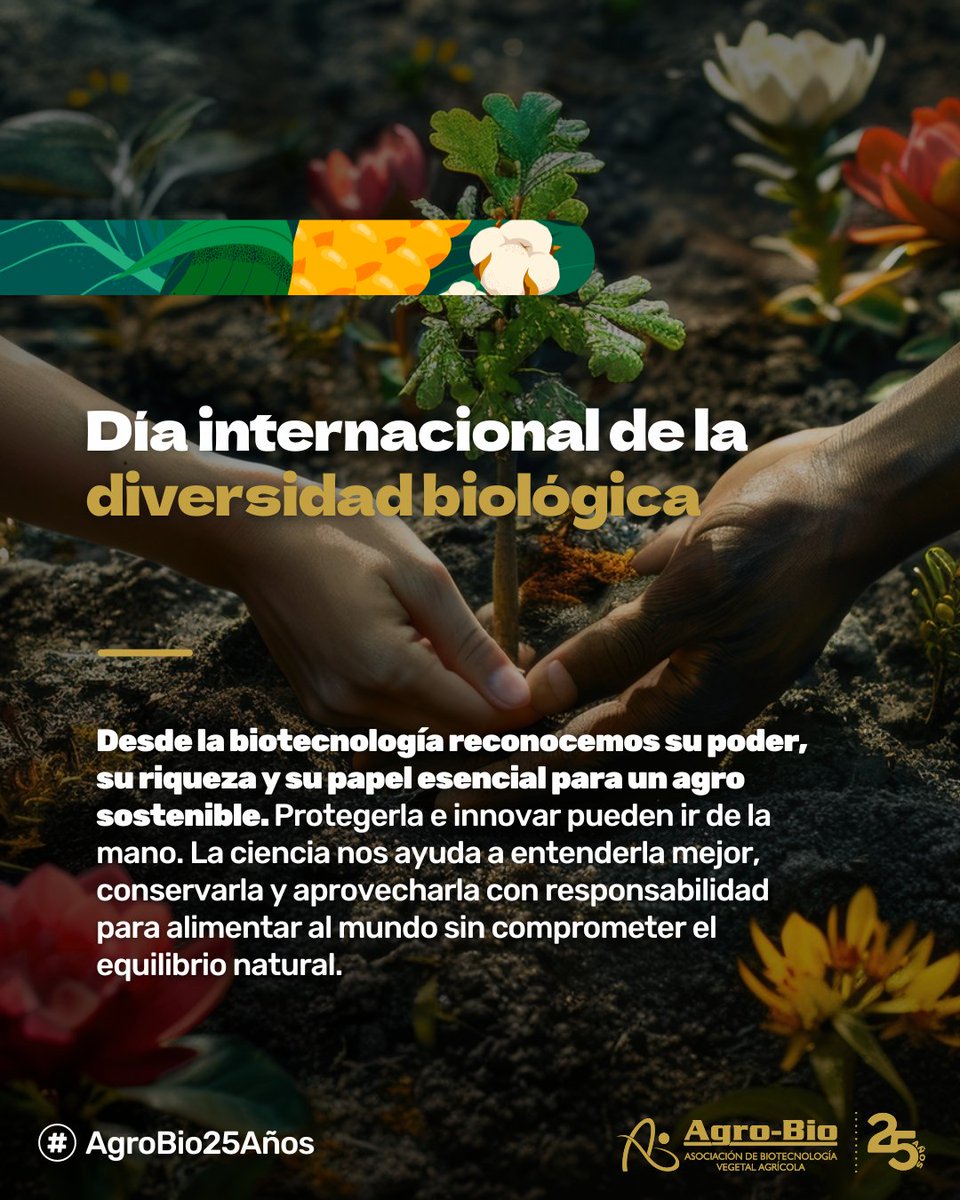 Agrobio_andina's tweet image. #DíaDeLaDiversidadBiológica🌿 Hoy celebramos la biodiversidad, la base de toda vida en el planeta.
Desde la biotecnología reconocemos su poder y trabajamos para conservarla mientras innovamos por un agro más sostenible.
🌱 Innovar y proteger pueden ir de la mano.…