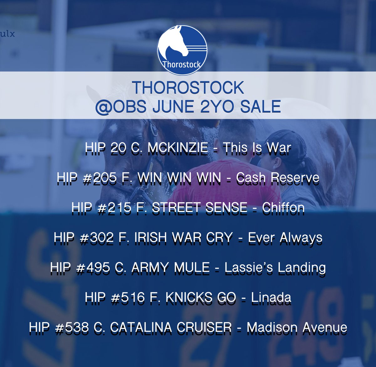 🔵 We'll see you next month in Ocala for <a href="/OBSSales/">OBSSales</a> June!
Breeze Dates: June 10-14
Sale Dates: June 17, 18
#StockUp