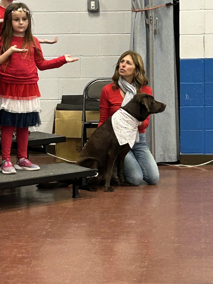 Susan DAlessandro tweet media