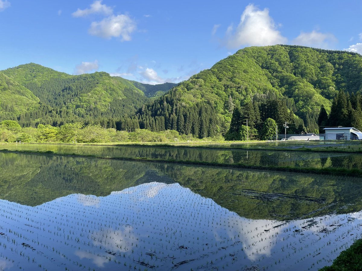 takumeik's tweet photo. 山かげの田んぼの水鏡。

#仙北市 #秋田
#akita #japan
#ファインダー越しの私の世界
#写真好きな人と繋がりたい
#東北が美しい #東北でよかった
#キリトリセカイ
#カメラ好きな人と繋がりたい
#ダレカニミセタイケシキ https://t.co/XSzNzsWeqe