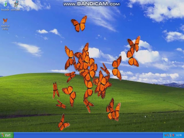 ourscarskiss's tweet photo. JUst downlaoded this butterfly on my desktop. Nice.....!!!!!!!!! So cute!!!!!!!!!!!!!! #cute #butterfly #computer #computermemes #nature #fauna https://t.co/rBVVttRTYK