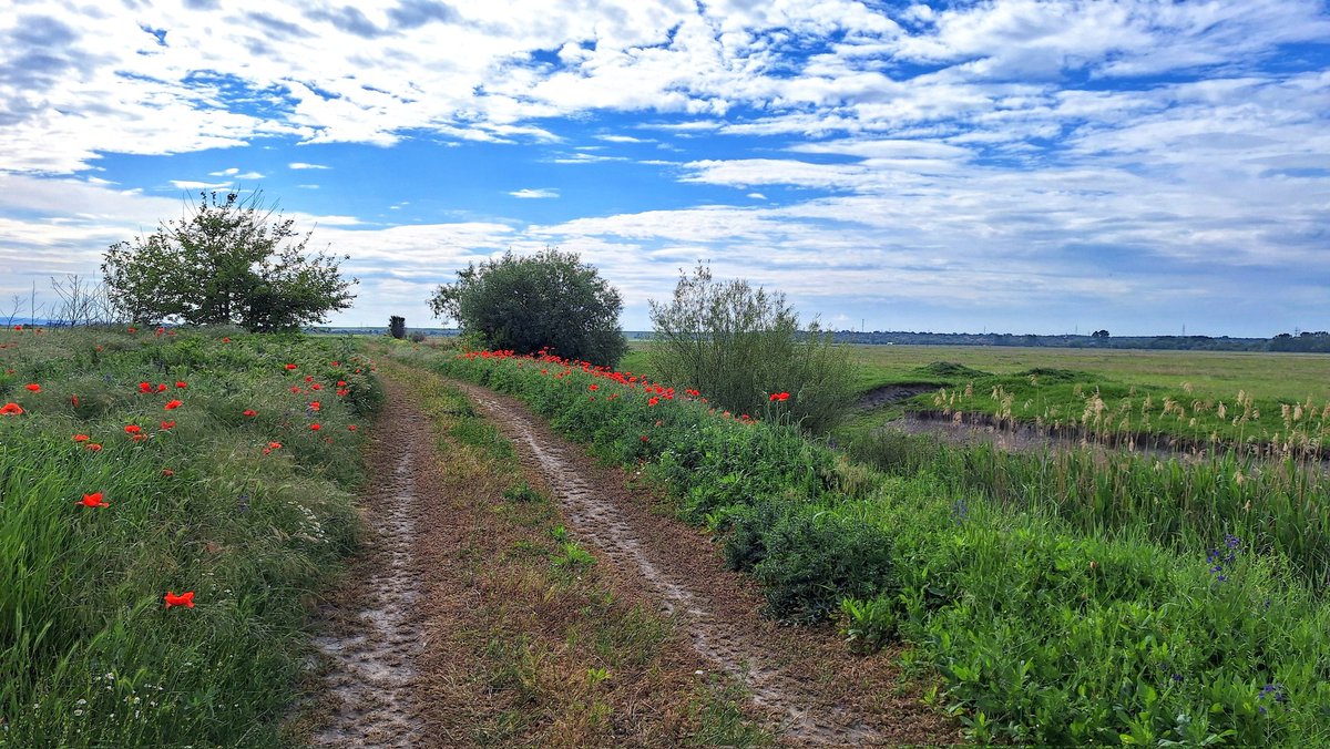 Ciprian DC 🇷🇴 (@ciprian2709) on Twitter photo 