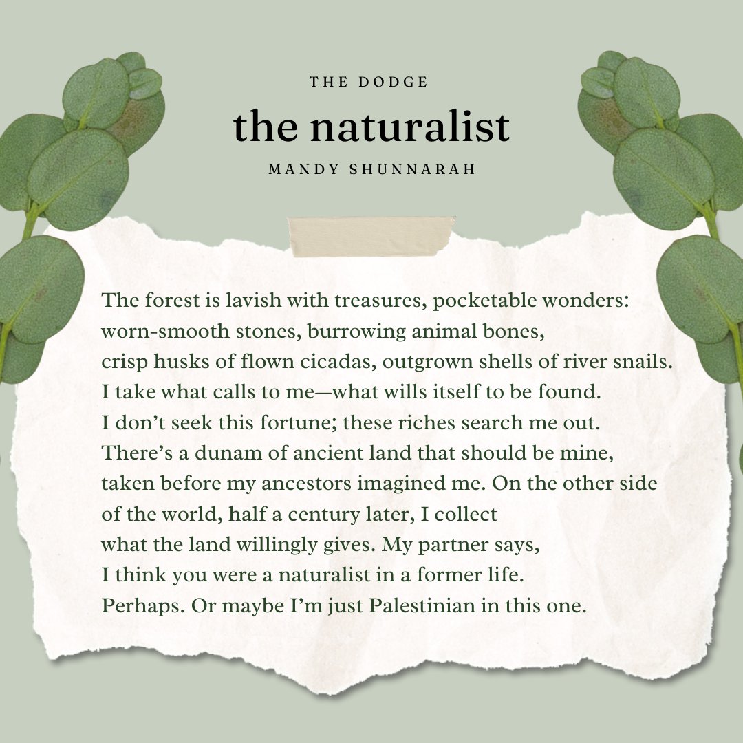 The Dodge (@thedodgemag) on Twitter photo Today's featured work is "the naturalist," one of two incredible poems written by <a href="/fixedbaroque/">Mandy Shunnarah (they/them/habibi) FREE 🇵🇸</a> and featured in our Spring 2025 Issue, OUT NOW! Today's featured work is "the naturalist," one of two incredible poems written by <a href="/fixedbaroque/">Mandy Shunnarah (they/them/habibi) FREE 🇵🇸</a> and featured in our Spring 2025 Issue, OUT NOW!