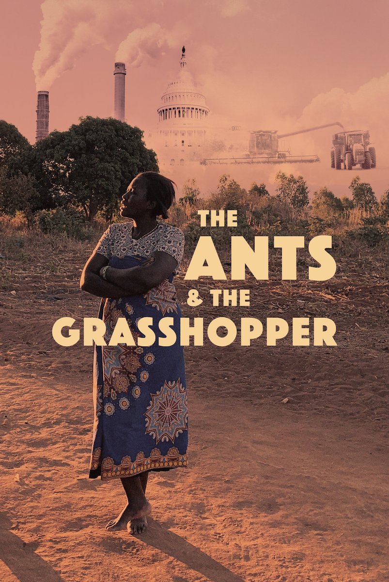 The LBJ School (@thelbjschool) on Twitter photo LBJ professor <a href="/_RajPatel/">Raj Patel - also rajpatel.bsky.social</a>, co-director of "The Ants & the Grasshopper," has brought a decade-long project to life 🌍
The series follows a Malawian farmer and activist as she raises awareness about the climate crisis.
▶️ Watch it now on PBS: pbs.org/show/ants-gras… LBJ professor <a href="/_RajPatel/">Raj Patel - also rajpatel.bsky.social</a>, co-director of "The Ants & the Grasshopper," has brought a decade-long project to life 🌍
The series follows a Malawian farmer and activist as she raises awareness about the climate crisis.
▶️ Watch it now on PBS: pbs.org/show/ants-gras…