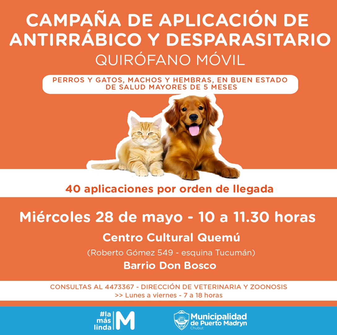 munimadryn's tweet photo. #MADRYN EL QUIRÓFANO MÓVIL LLEGA AL BARRIO DON BOSCO 🐾

Habrá aplicación gratuita de antirrábico y desparasitario para perros y gatos mayores de 3 meses.

📅 Miércoles 28 de mayo de 🕙 10 a 11:30 hs.
📍 Centro Cultural Quemú (Roberto Gómez)

⚠️ 40 turnos por orden de llegada https://t.co/RNM590UDsC