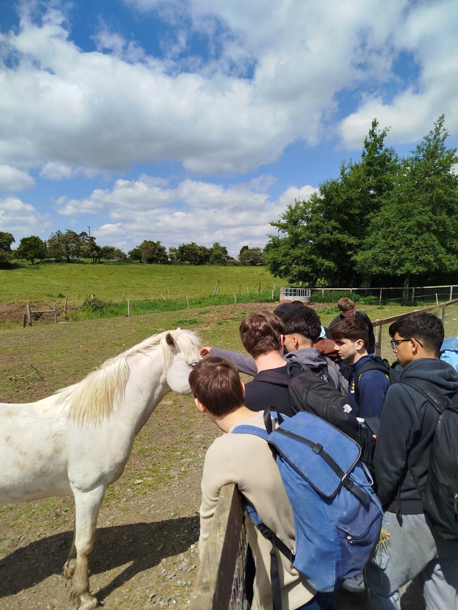 StVincentsd11's tweet photo. Our 2nd Years had a day on the farm and in the bog today- the weather was with them and they returned safe and sound in great form! #ERST #ERBB https://t.co/oqYYIRNB32