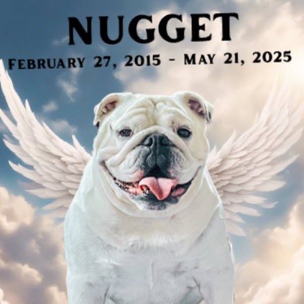 Profile picture change in honour of my dear friend Nugget 💔🌈