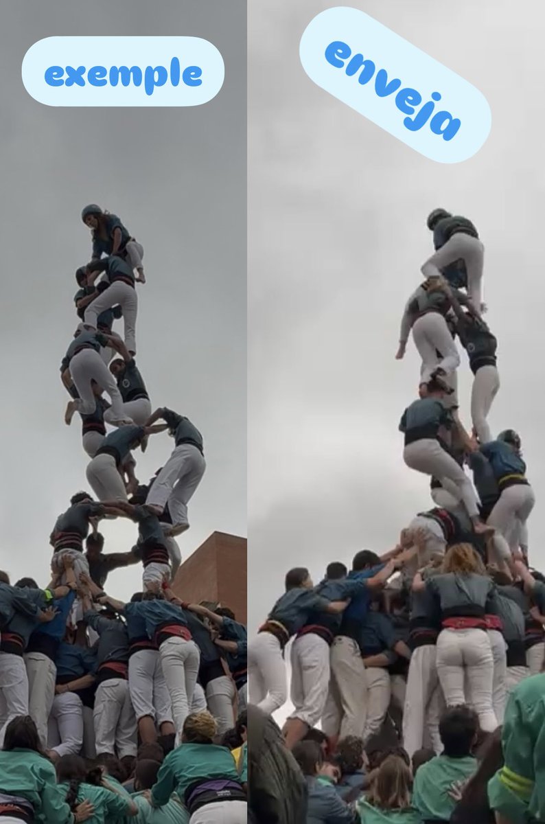 Komando Tulipà tweet media