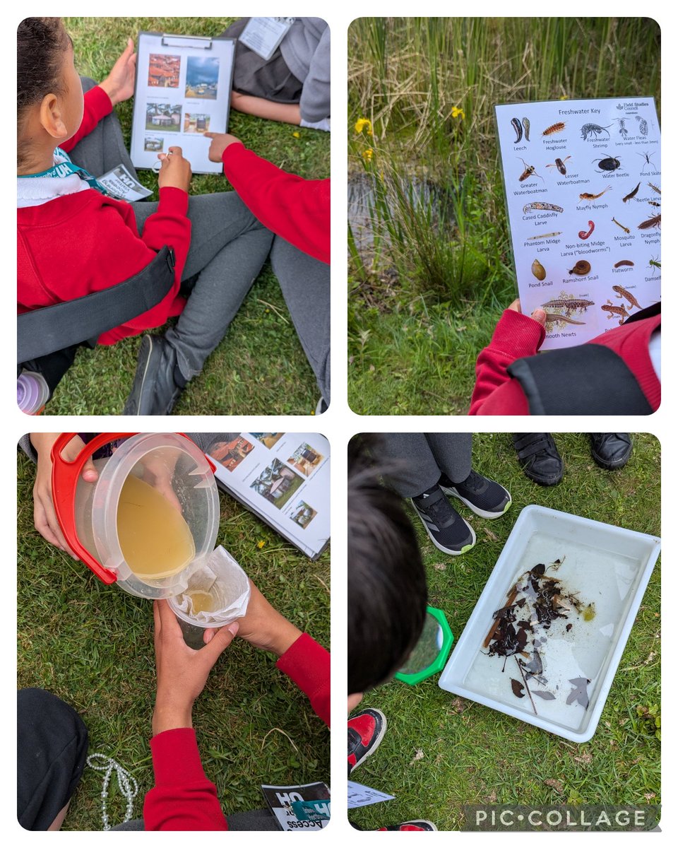 Thank you so much to @ohoutdoors we thoroughly enjoyed our day with you all, creating clay creatures, learning how to measure the height of trees, nature art, pond dipping and how to save and filter water <a href="/headcherrytree/">Cherry Tree Headteacher</a>
<a href="/Emma5Hills/">Emma Hill</a> <a href="/CherryTreePST/">Pastoral Team</a> <a href="/CTS_Watford/">Cherry Tree Primary School</a> <a href="/MrLittleboyCTS/">MrLittleboyCTS</a>