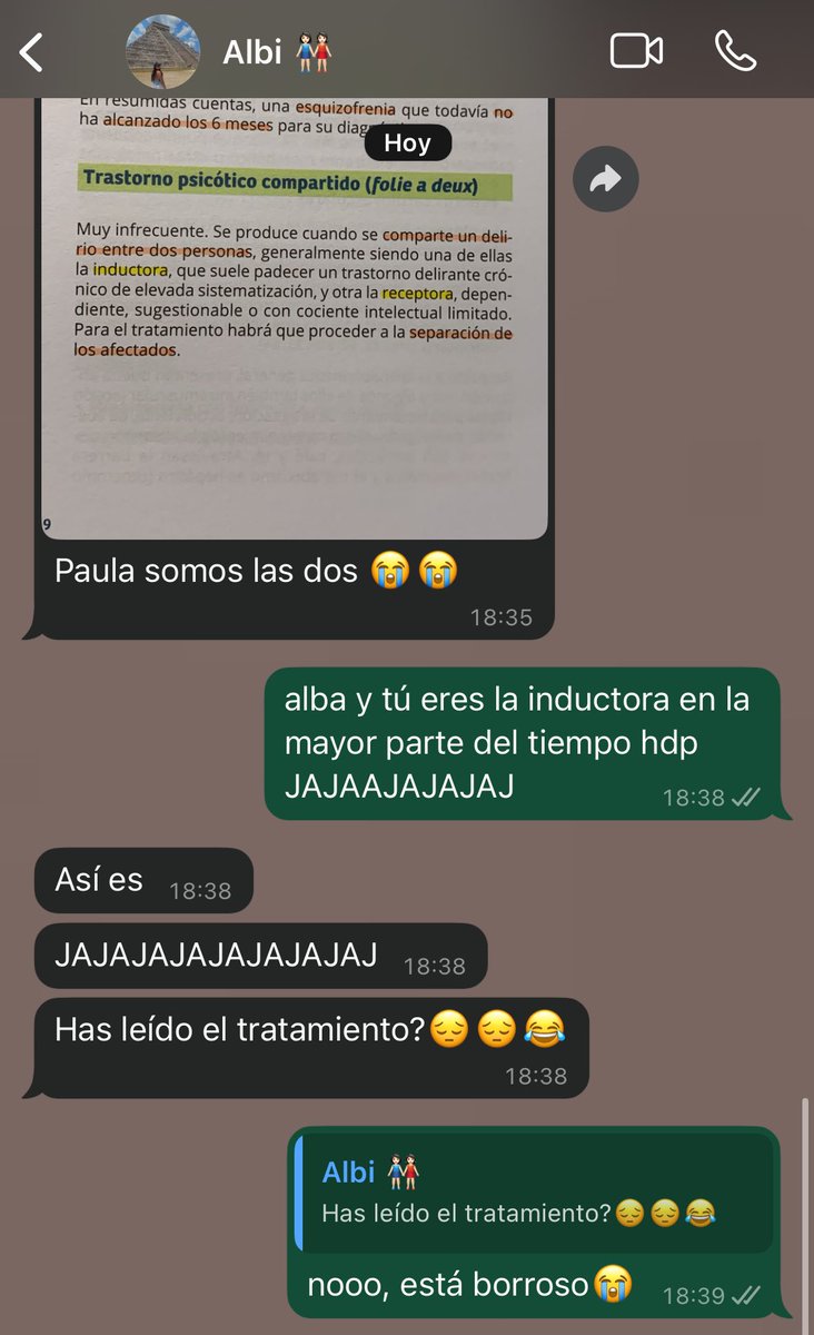 paula🌰 tweet media