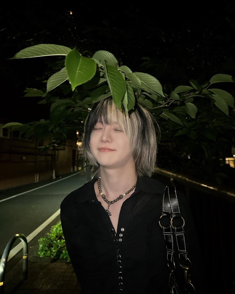 よきき tweet media