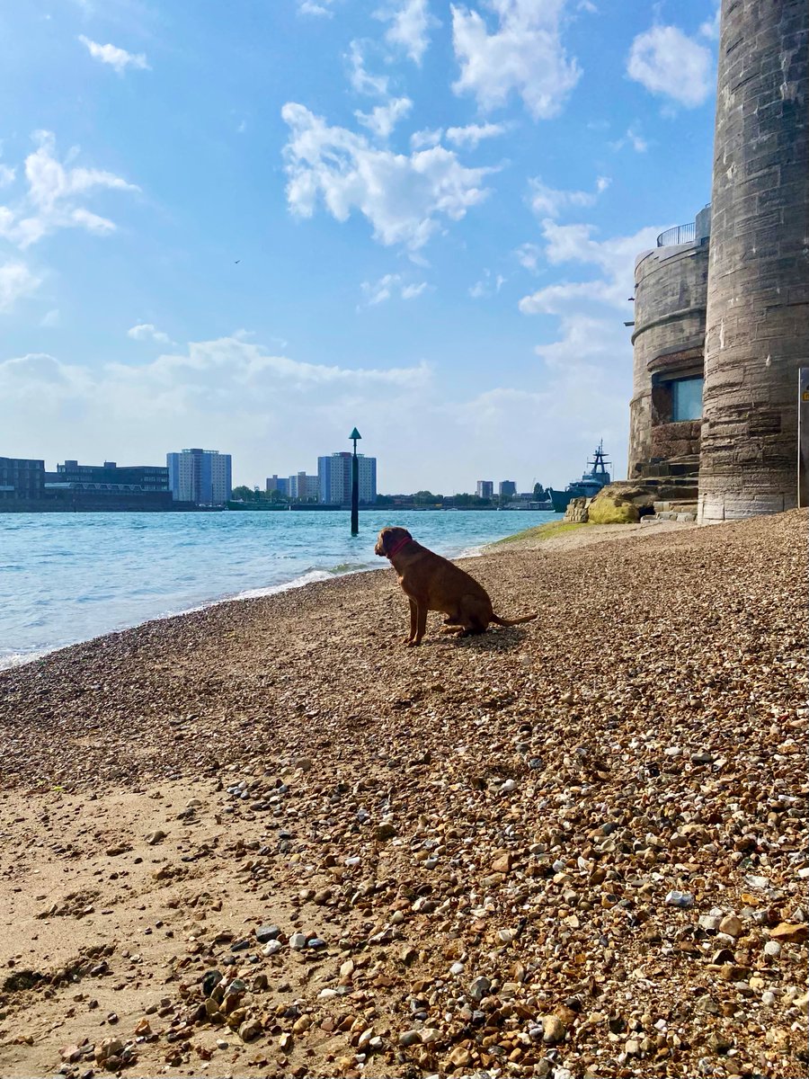 hms_mersey's tweet image. Thank you for the support, @HMNBPortsmouth . Back to sea once more — but this time, there’s a pair of loyal eyes watching from the shore 🌊🛥️🐾