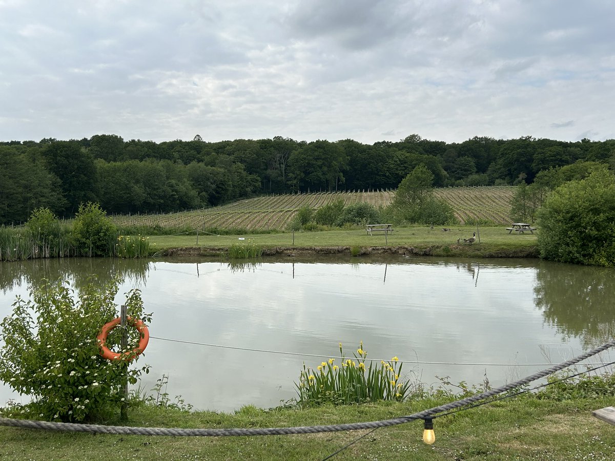 Grey skies but not too shabby a view for our members meeting this evening… 

#Uckfield #business #Networking