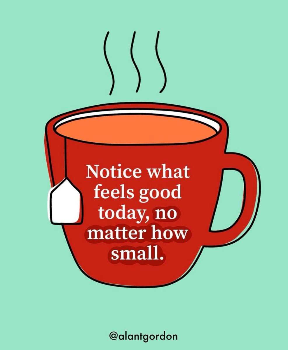 Notice what feels good today, no matter how small ☕️

Image: instagram.com/alantgordon