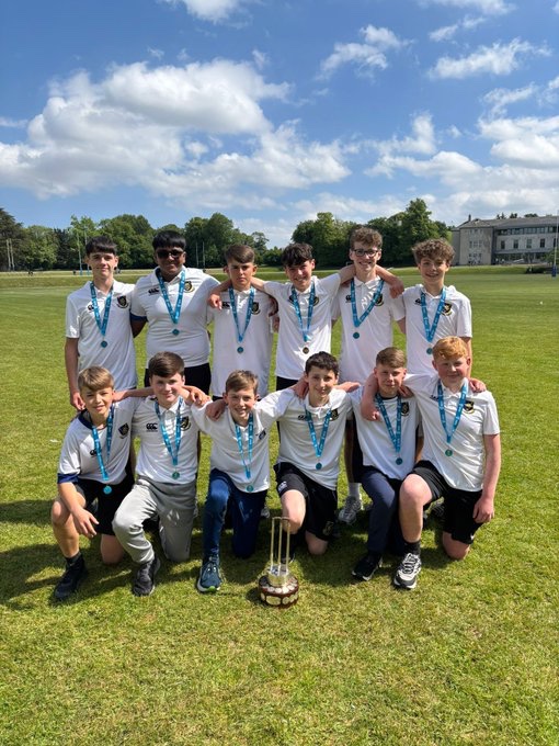 Cricket Leinster tweet media