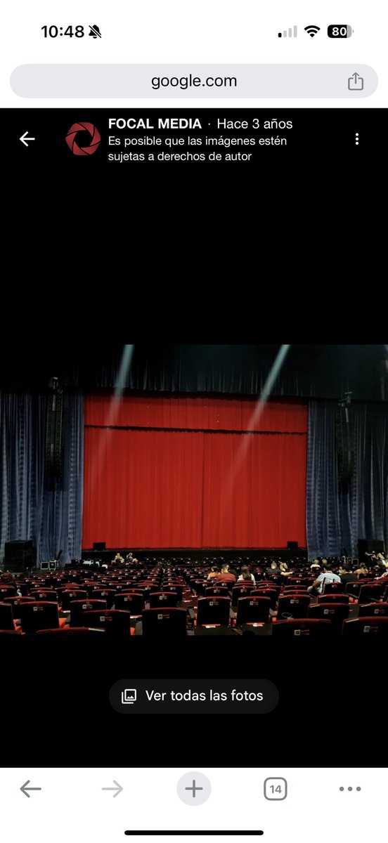 Flamingo tweet media