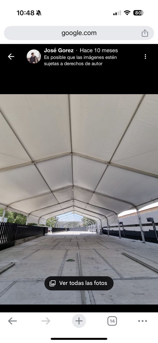 Flamingo tweet media