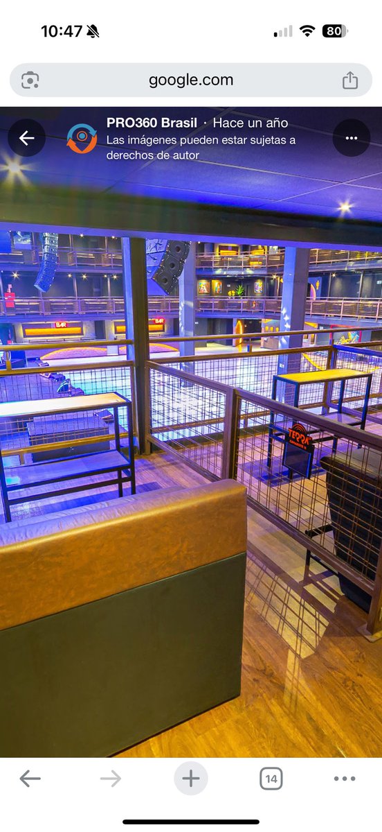 Flamingo tweet media