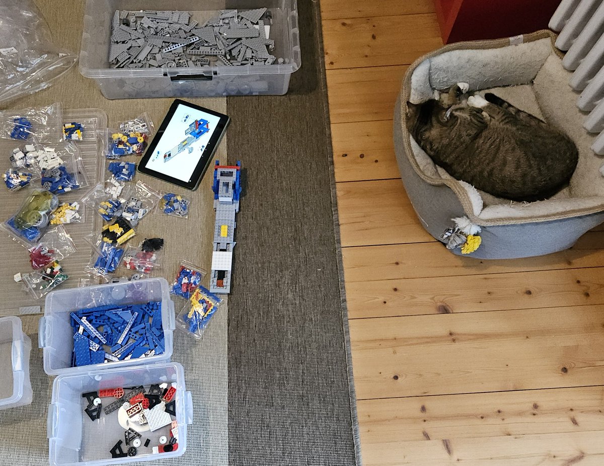 Mein heutiger "Arbeitsplatz" liegt zwischen den #Lego Steinen und Toni. 😅