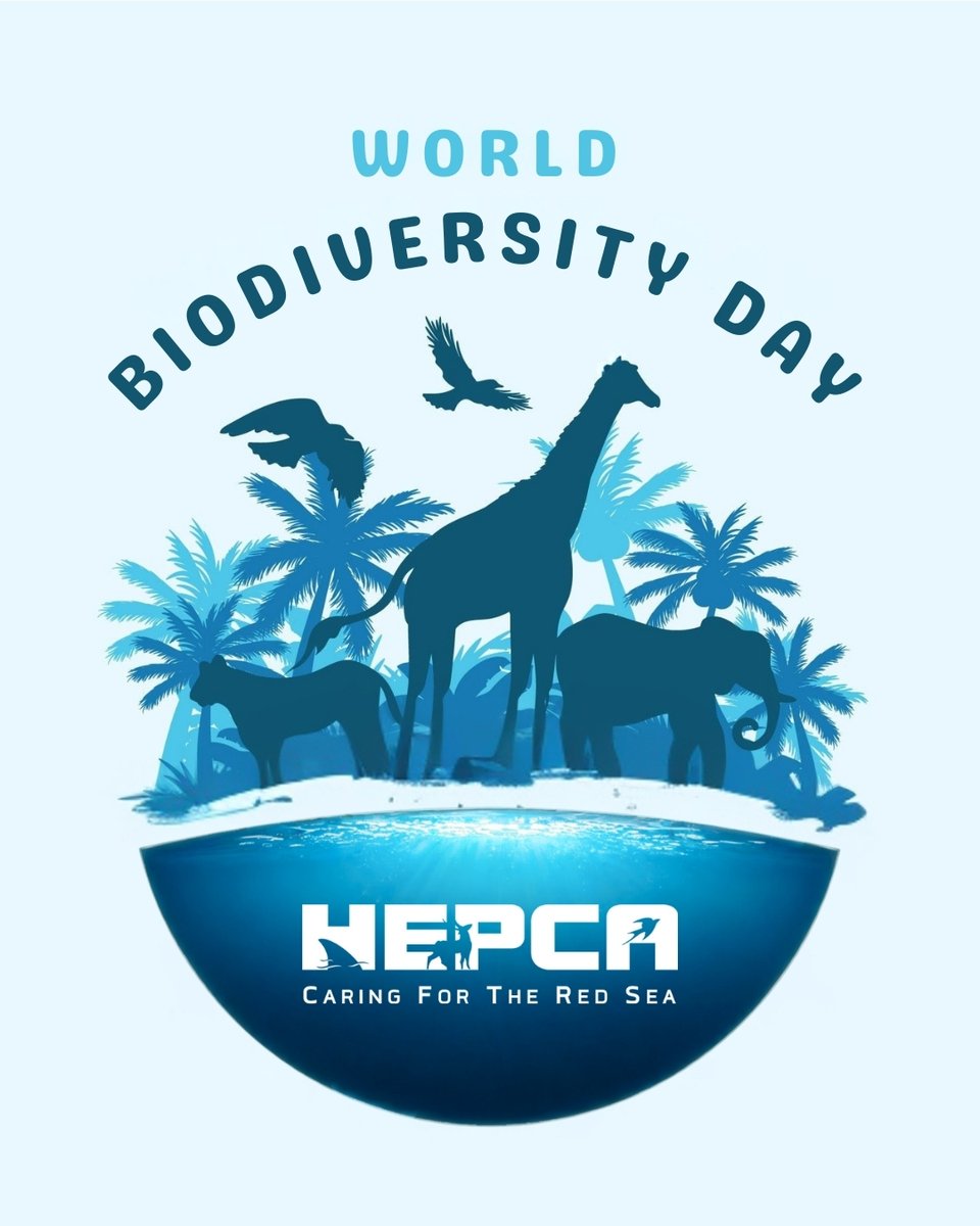 HEPCA (@hepca3) on Twitter photo Today, on International Biodiversity Day, we celebrate this breathtaking diversity. But celebration alone isn’t enough — it calls for action.
At HEPCA, we’ve spent decades walking this path
Join us to protect the Red Sea biodiversity Today, on International Biodiversity Day, we celebrate this breathtaking diversity. But celebration alone isn’t enough — it calls for action.
At HEPCA, we’ve spent decades walking this path
Join us to protect the Red Sea biodiversity