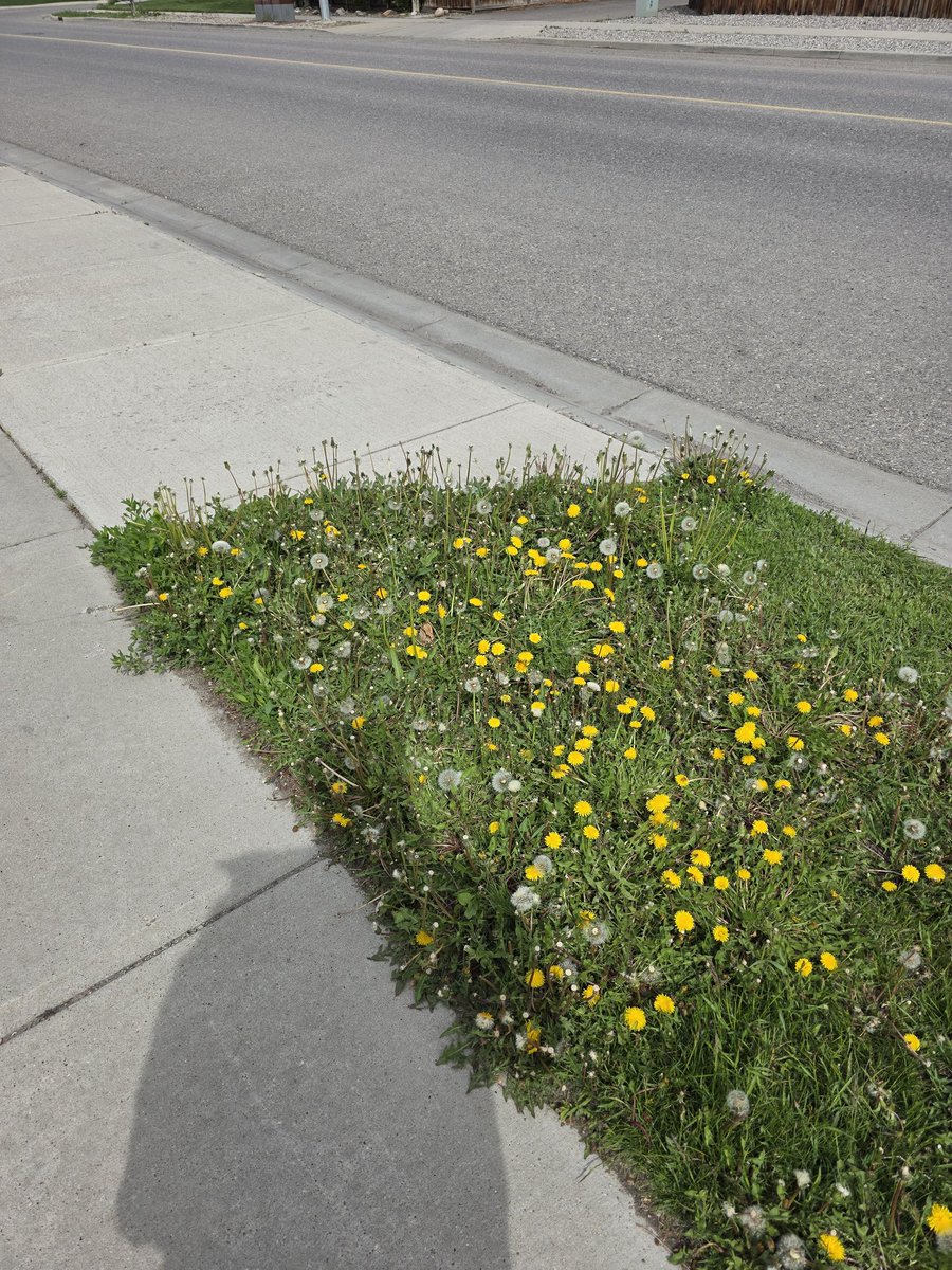 scott_mcgregor's tweet image. This is domestic terrorism.  #yql