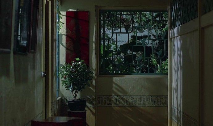 aesthetics (@aesthetics_40) on Twitter photo 