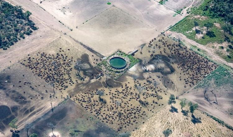 Informe de <a href="/Global_Witness/">Global Witness</a> revela que el <a href="/bancosantander/">Santander</a> financia proyectos de <a href="/CRESUDIR/">Cresud IR</a> con fuerte impacto negativo en deforestación comunicarseweb.com/noticia/el-ban…