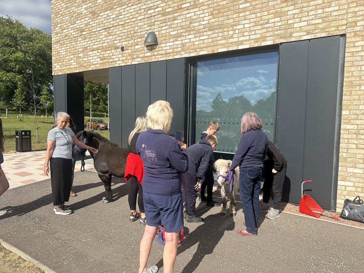 MrsOliver01's tweet photo. Brilliant morning spent @wlwinchburgh_ac during our enhanced transition programme #hoofbeats #theraponies https://t.co/W33Othz0EG